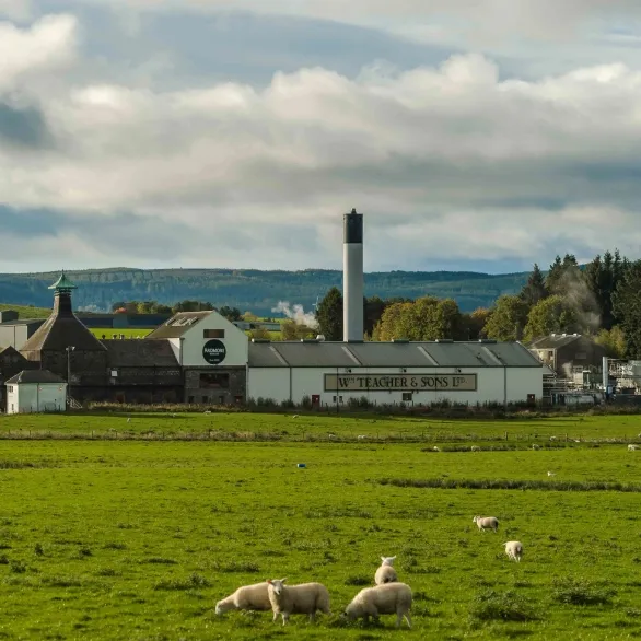 green field Ardmore distillery buildings