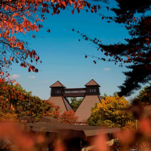 view of the traditional Japanese roof of the Hakushu distillery
